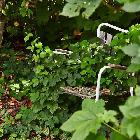 Rosenlund Skovsgårde