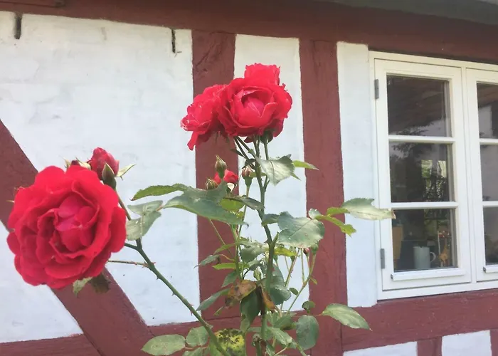 Nocleg ze śniadaniem Rosenlund